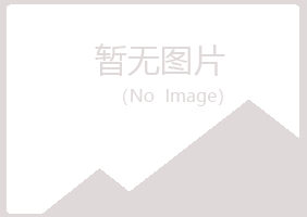 通许县夏岚工程有限公司